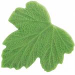 Форма пластмассовая для изготовления листьев *Формозская малина* Reddy, 10,5 х 6,5 см